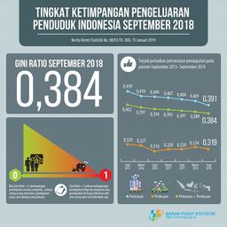 The September 2018 Gini Ratio Was Recorded At 0.384