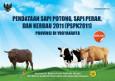Data Collection Beef Cattle, Dairy Cattle, and Buffalo 2011 (PSPK2011) DI Yogyakarta
