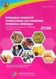 Executive Summary of Consumption and Expenditure of Indonesia March 2016