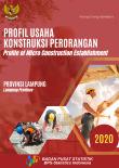Profile of Micro Construction Establishment of Lampung Province, 2020