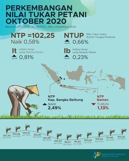 Nilai Tukar Petani (NTP) Oktober 2020 Sebesar 102,25 Atau Naik 0,58 Persen
