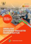 Efficiency analysis of Manufacturing Industry
