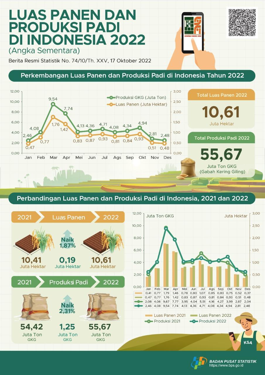 Pada 2022, luas panen padi diperkirakan sebesar 10,61 juta hektare dengan produksi sekitar 55,67 juta ton GKG