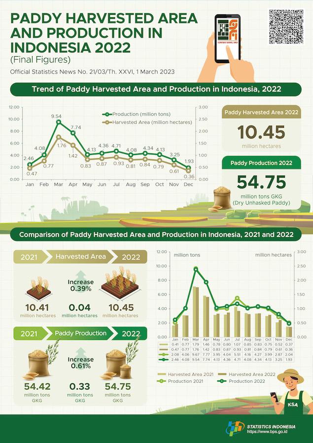 In 2022, Paddy harvested area was approximately 10.45 million hectares with 54.75 million tons of dry unhusked paddy (GKG) production.