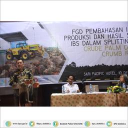 BPS-Ministry of Industry FGD: Splitting GDP of CPO and Crumb Rubber