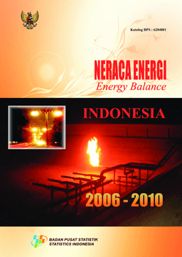 Neraca Energi Indonesia 2006-2010