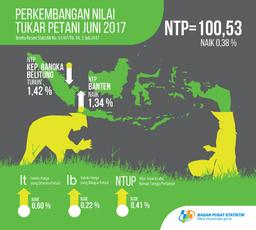 Nilai Tukar Petani (NTP) Juni 2017 Sebesar 100,53 Atau Naik 0,38 Persen