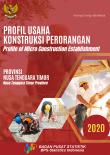 Profil Usaha Konstruksi Perorangan Provinsi Nusa Tenggara Timur, 2020