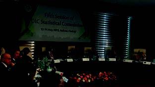 Indonesia Jadi Ketua OIC-STATCOM 2015-2016