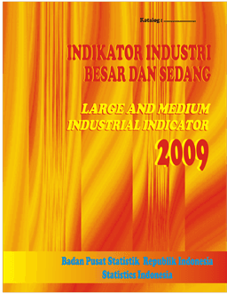 Manufacturing Industry Indicators-Large And Medium Indonesia 2009
