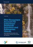 Pilot Ecosystem Account For Indonesian Peatlands Sumatera And Kalimantan Islands