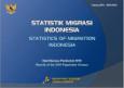 Statistik Migrasi Indonesia Hasil SP 2010