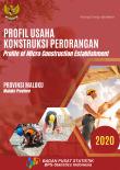 Profile Of Micro Construction Establishment Of Maluku Province, 2020