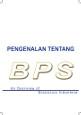 An Overview Of BPS-Statistics Indonesia