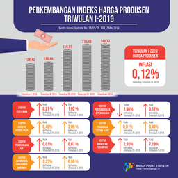 Producer Price Index Quarter I-2019